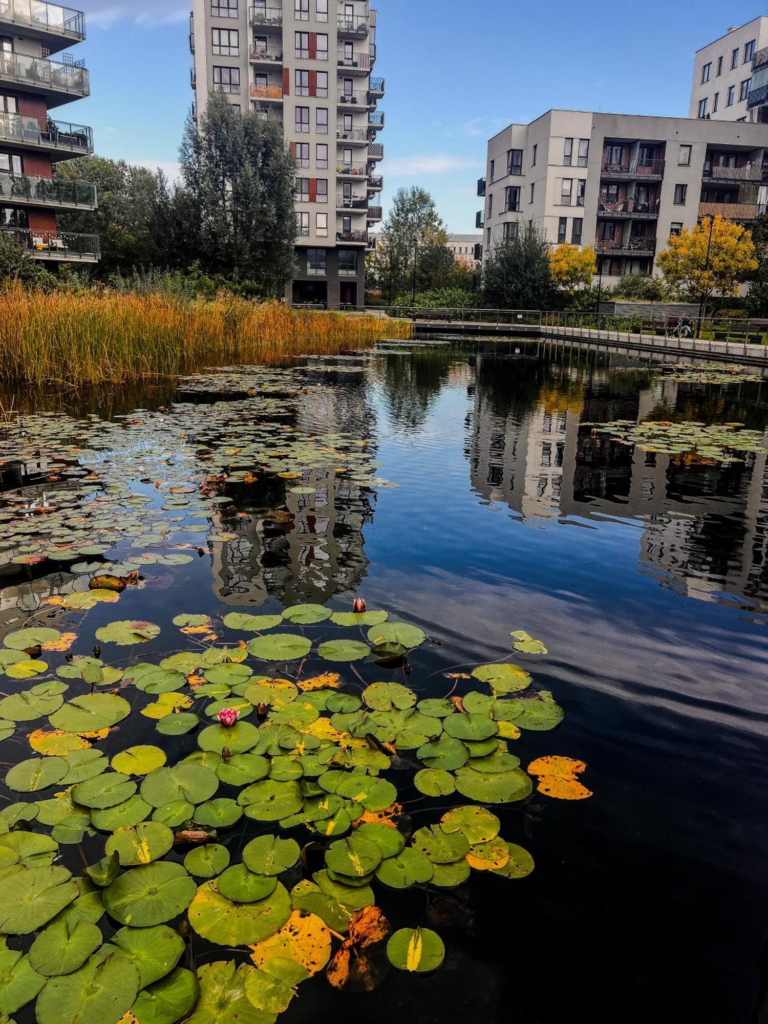 Ferienwohnung Lake Park Apartament With Free Parking Airport Netflix Warschau Exterior foto